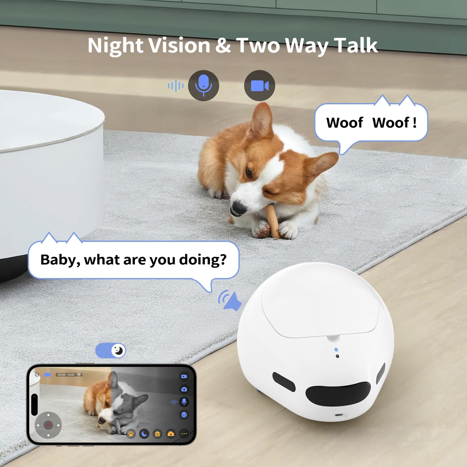 Pumpkii cat camera two-way audio lets you hear and comfort your pet remotely