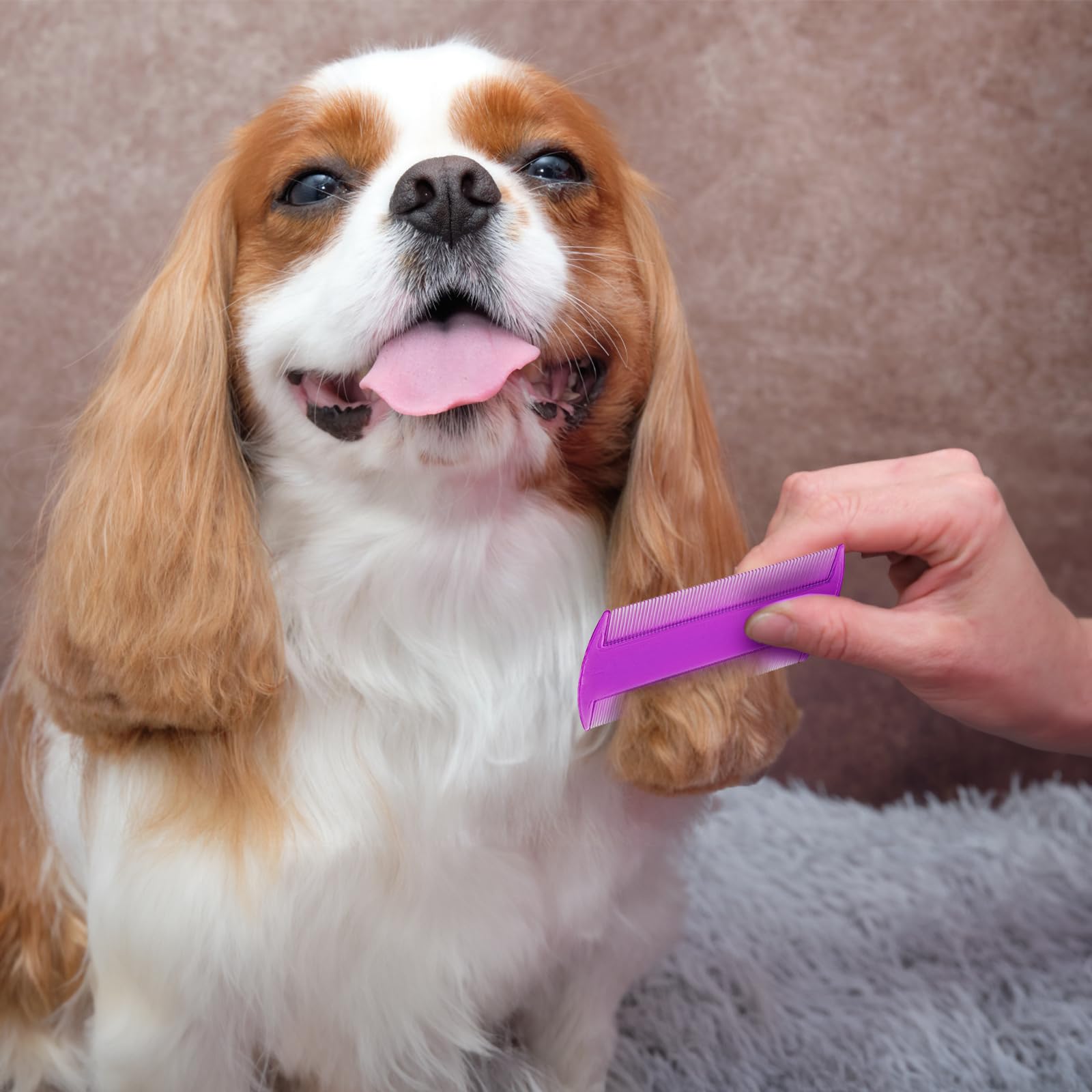 Pumtus suitable for cats, dogs, rabbits, and other small pets.