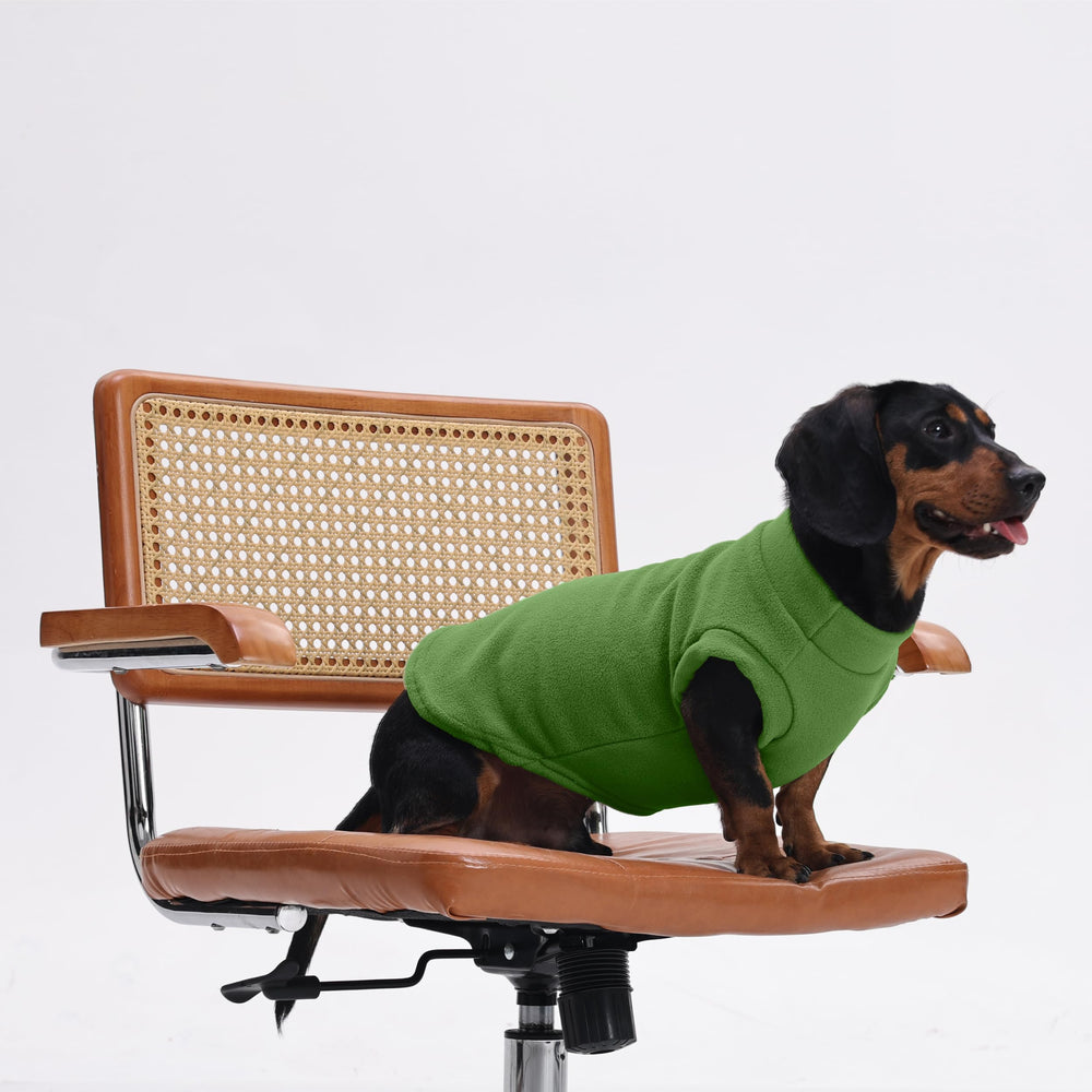 PUMYPOREITY dark-blue-winter-pet-coat image showcases versatile cold-weather wear.