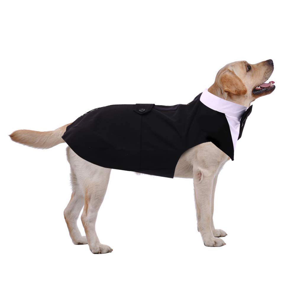 PUMYPOREITY black-tuxedo-two-piece-set versatile for events and everyday wear.