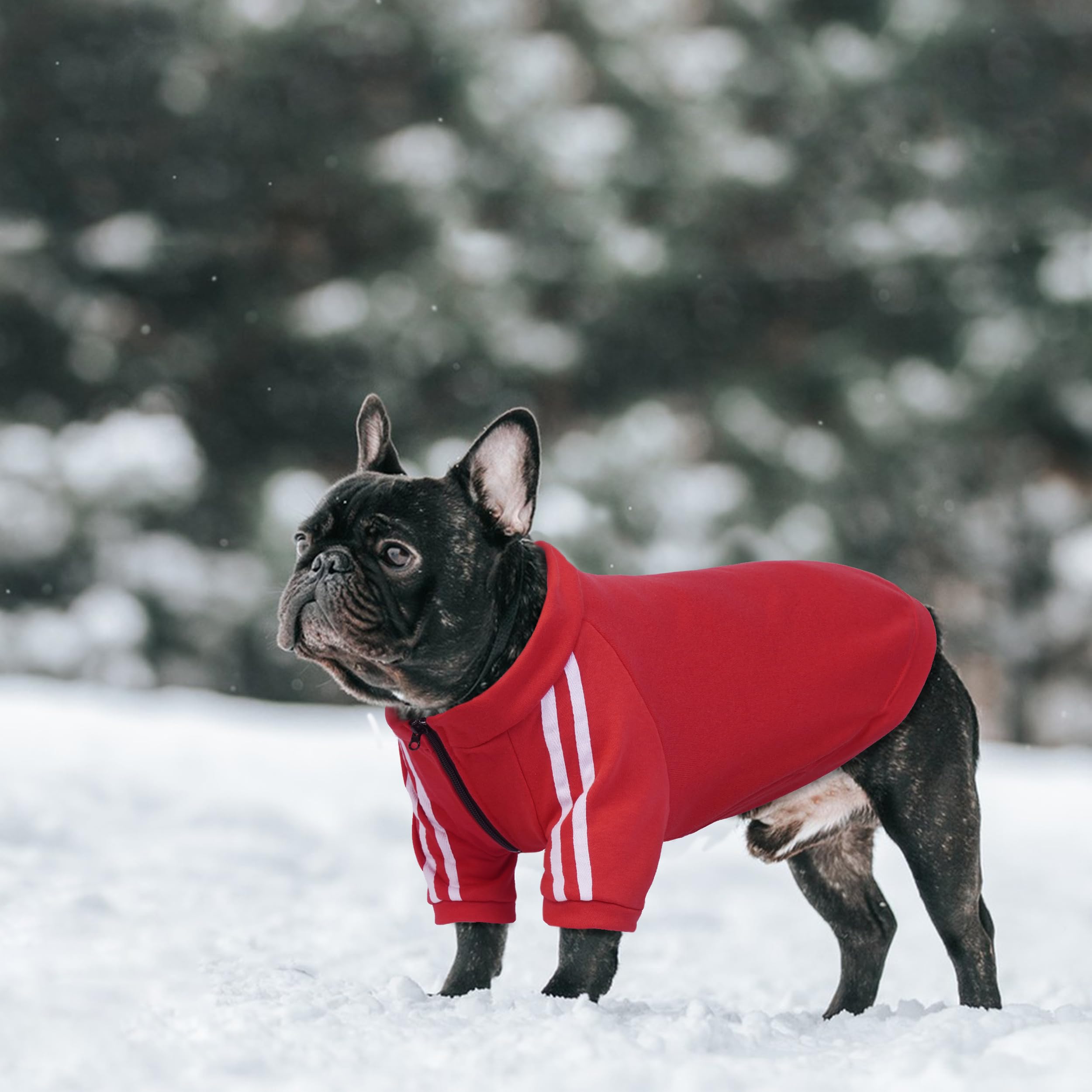 PUMYPOREITY hoodie is machine washable, easy care after adventures.
