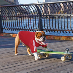 PUMYPOREITY bulldog hoodie showcases street-style design for stylish walks.