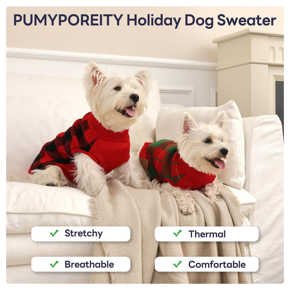 Model wearing the PUMYPOREITY plaid sweater during an outdoor scene