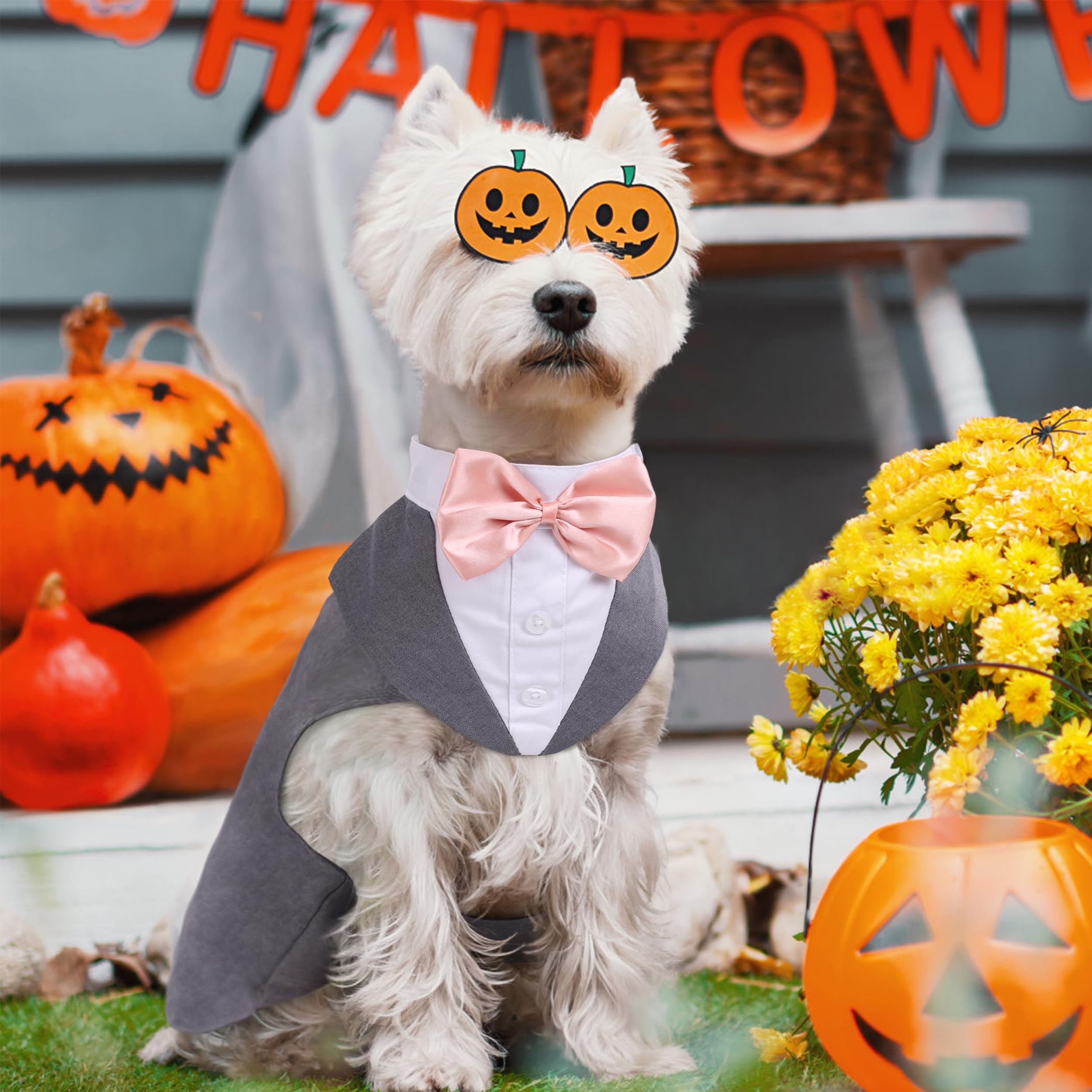 PUMYPOREITY soft cotton fabric keeps your dog breathable and comfortable all day.