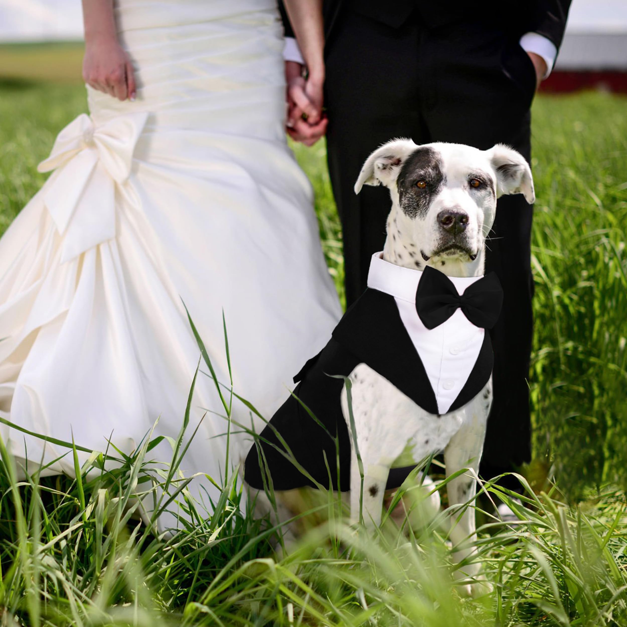 PUMYPOREITY dog tuxedo soft cotton material feels gentle on fur