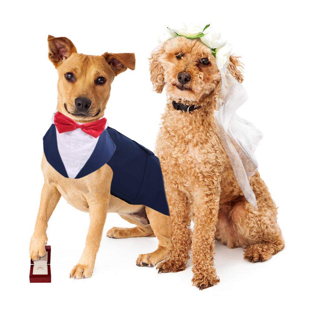 PUMYPOREITY dog tuxedo on-model during holiday event demonstrates versatile styling possibilities.