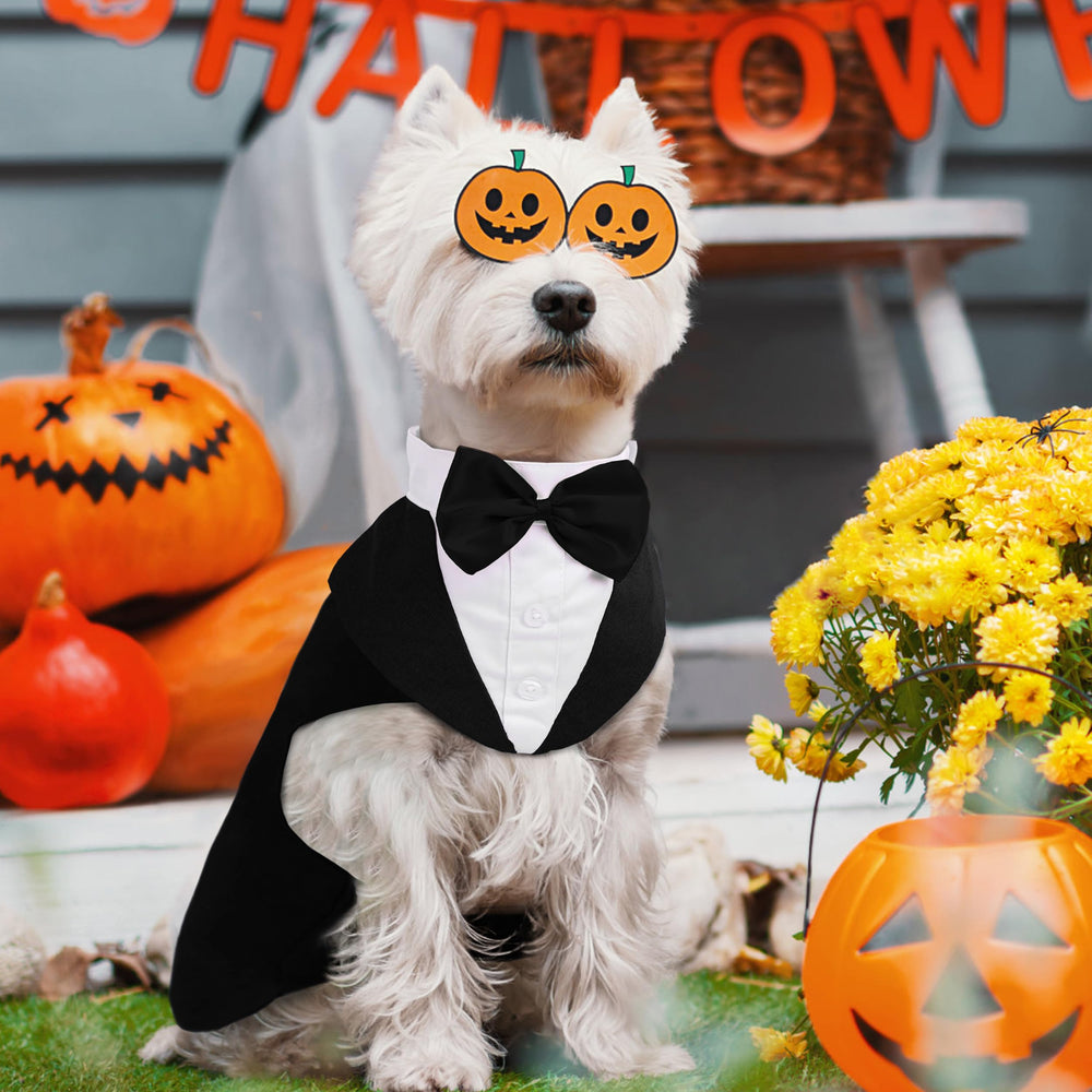 PUMYPOREITY dog tuxedo wedding-ready look for special occasions
