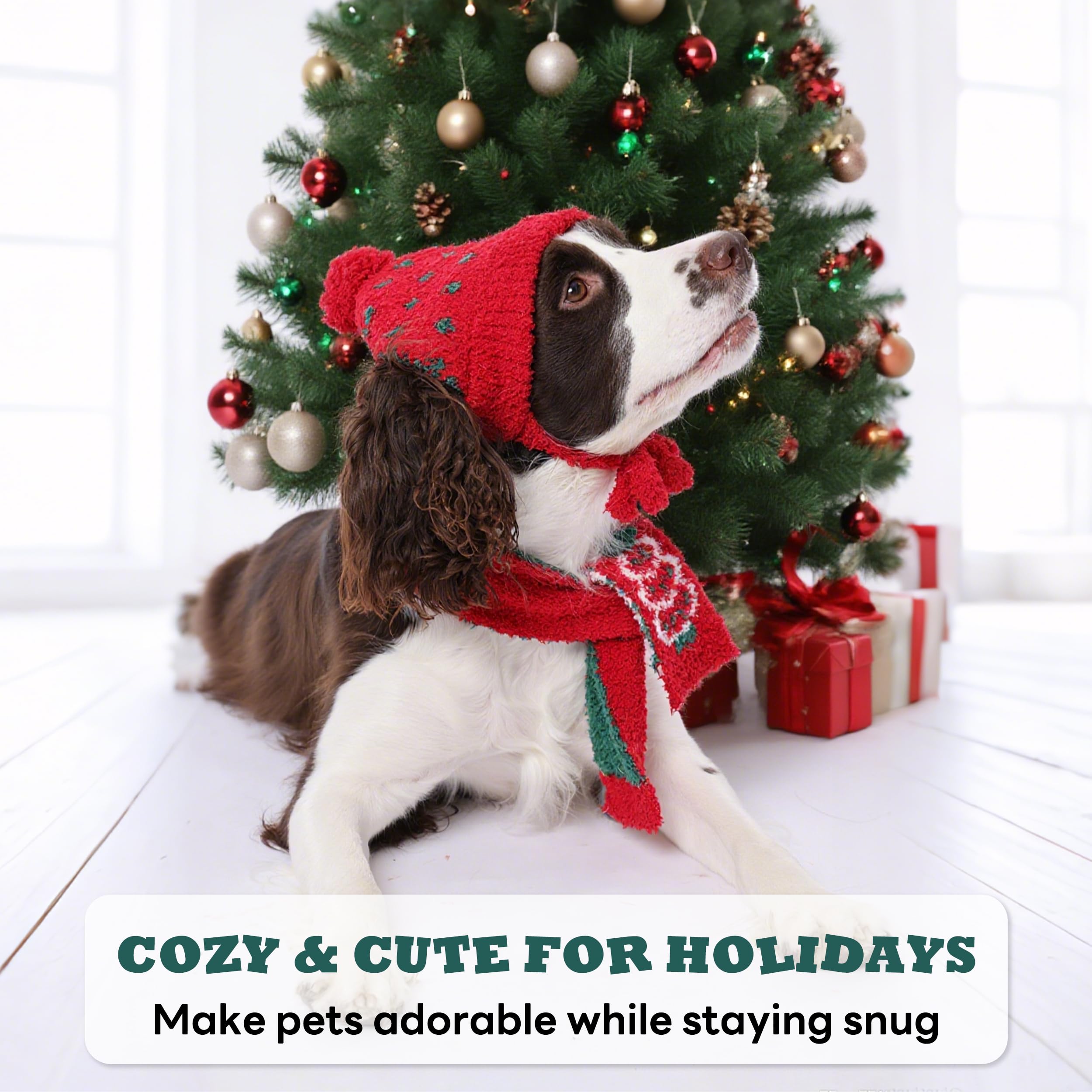 PUMYPOREITY dressed dog photo-op features festive attire.