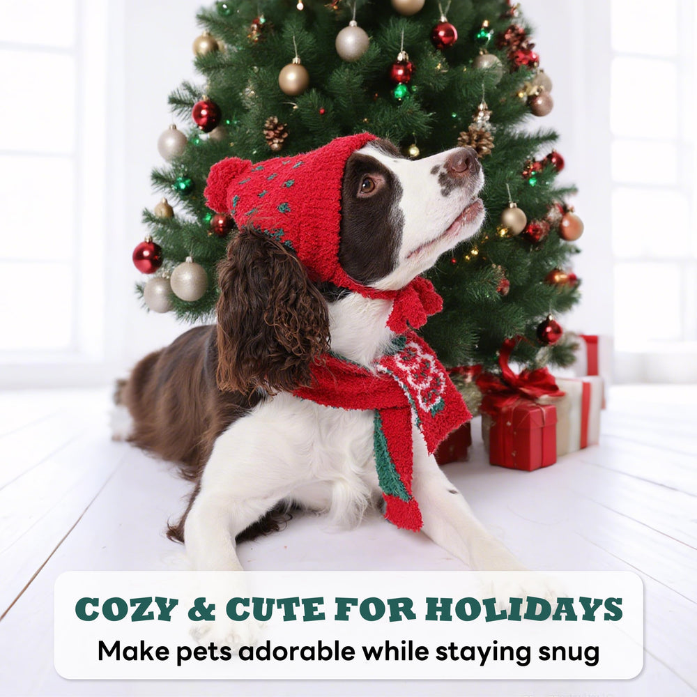 PUMYPOREITY dressed dog photo-op features festive attire.