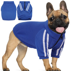 PUMYPOREITY sporty zip-up hoodie front view for easy on-the-go walks.