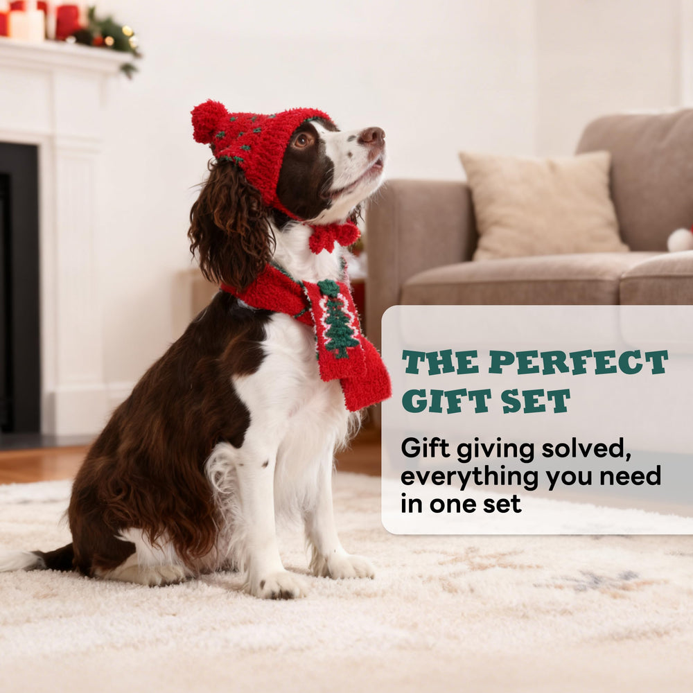 PUMYPOREITY holiday decor pet setting adds seasonal charm.