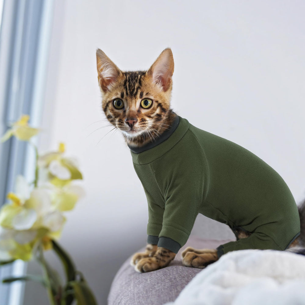 PUMYPOREITY machine-washable green cat sweater simplifies cleaning routines.