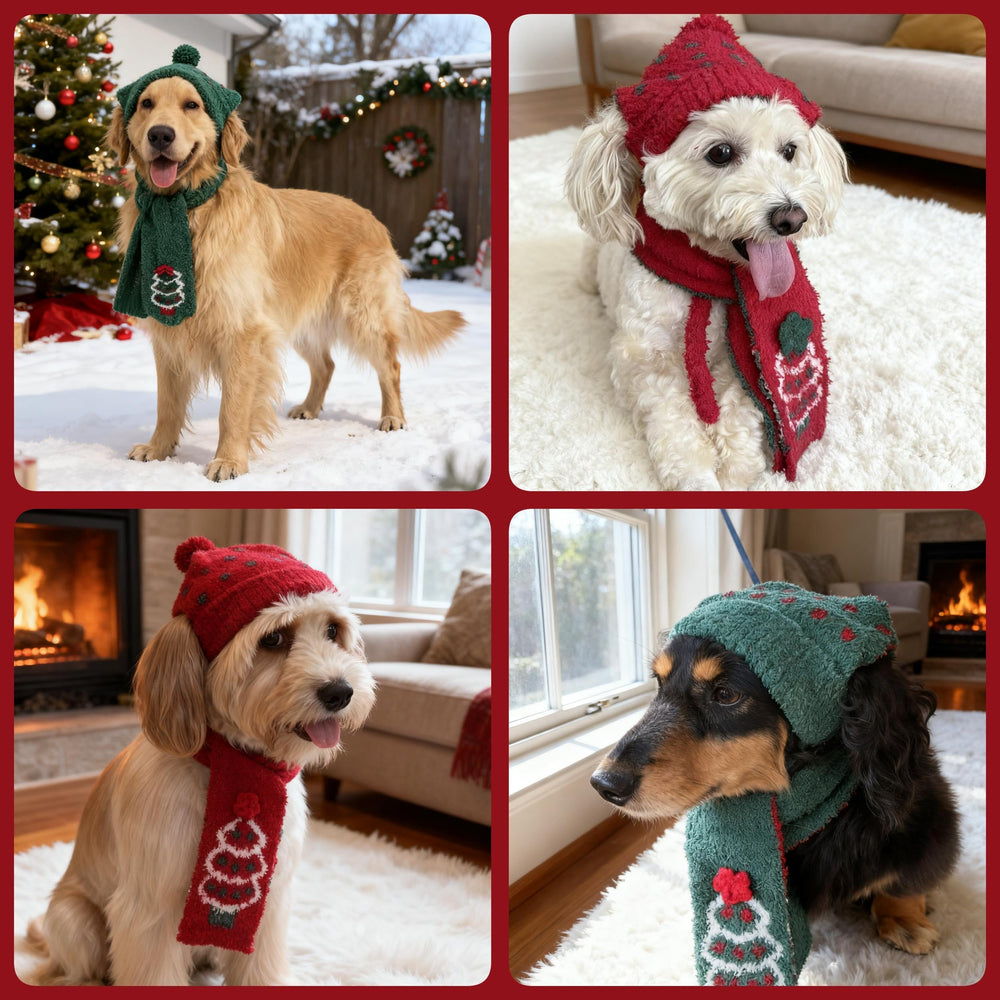 PUMYPOREITY new year dog outfit makes a cute countdown companion.