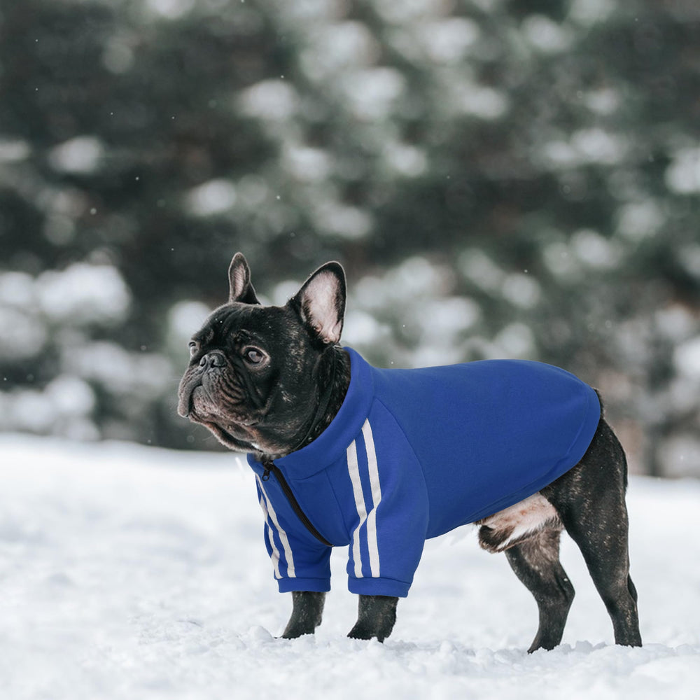 PUMYPOREITY outdoor-walk blue hoodie showcases stylish practicality during spring/fall strolls.