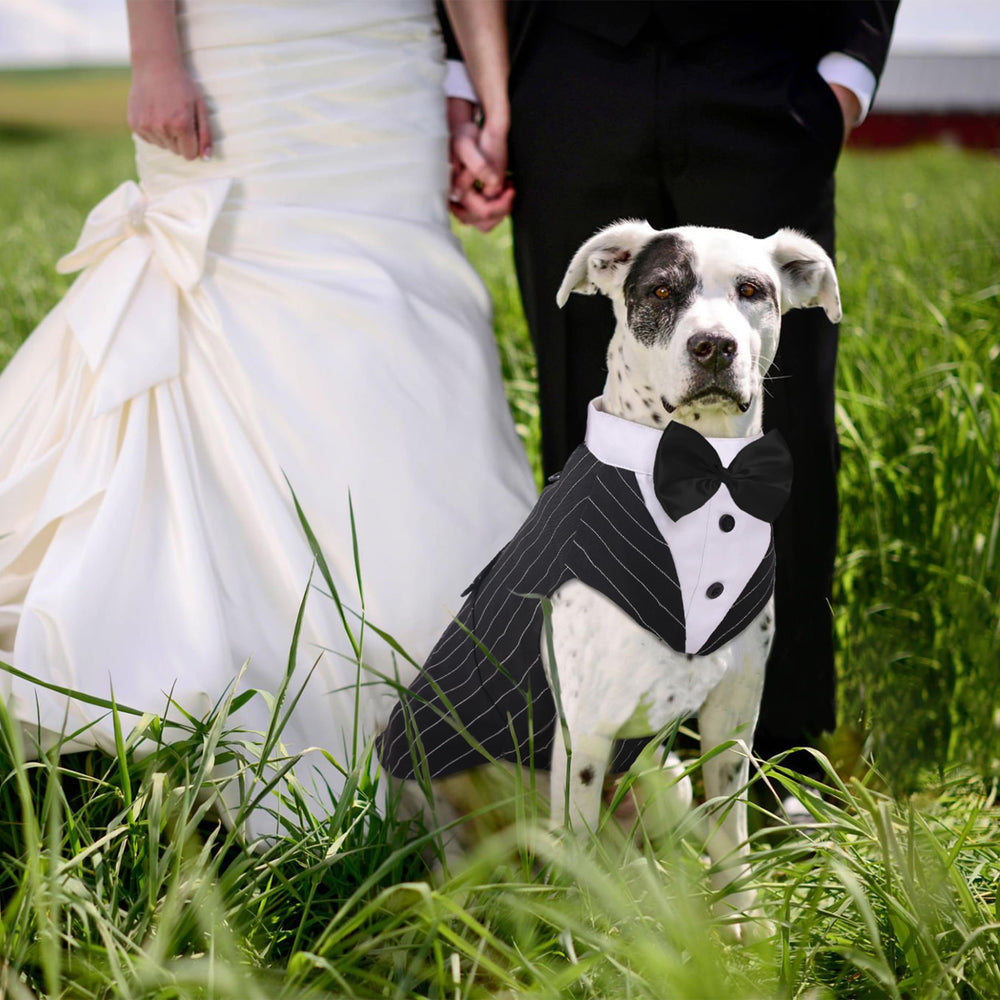 PUMYPOREITY soft cotton fabric keeps dog comfortable and breathable