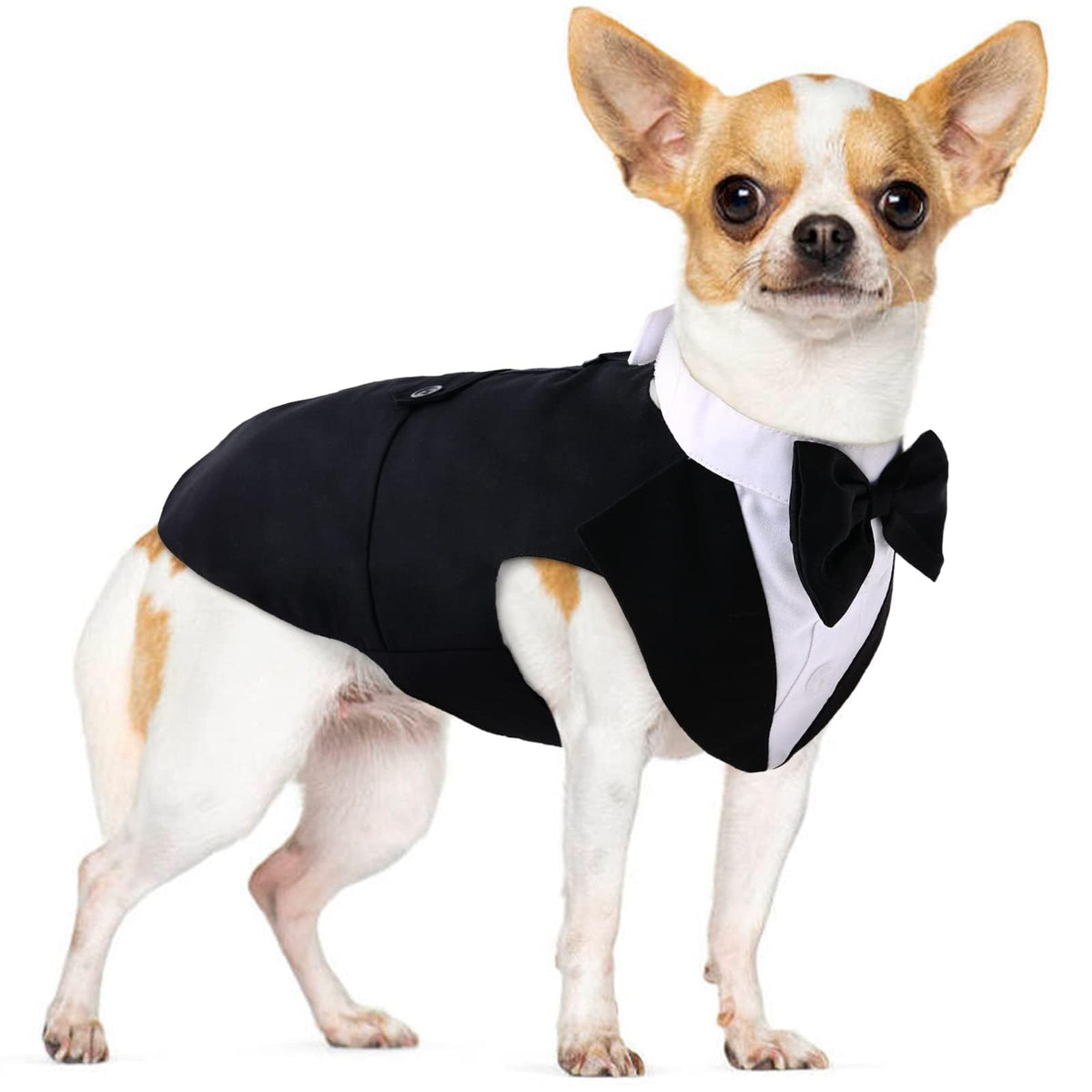 PUMYPOREITY tuxedo bowtie vest creates a polished wedding-ready look for dogs.