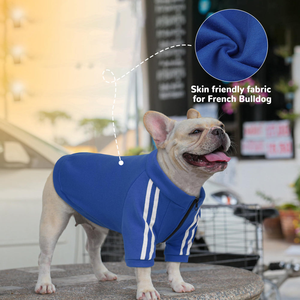 PUMYPOREITY wide-waist design offers comfortable fit for French Bulldog broad chests.