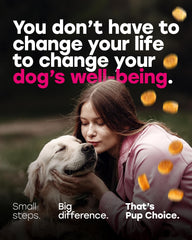Pup Choice beef-flavored dog chews attract picky eaters while supporting overall wellness.