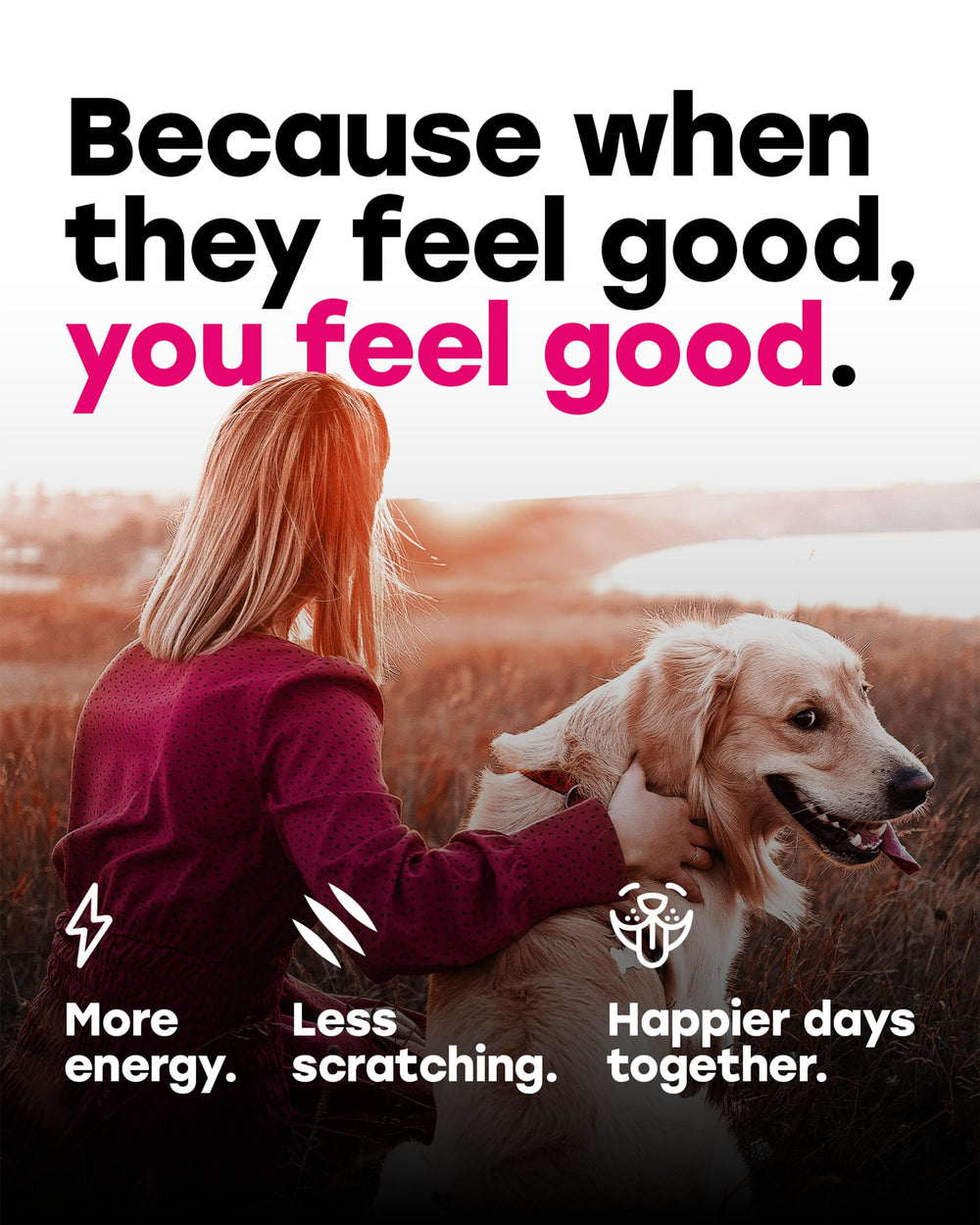 Pup Choice immune support line signals daily resilience for playtime.