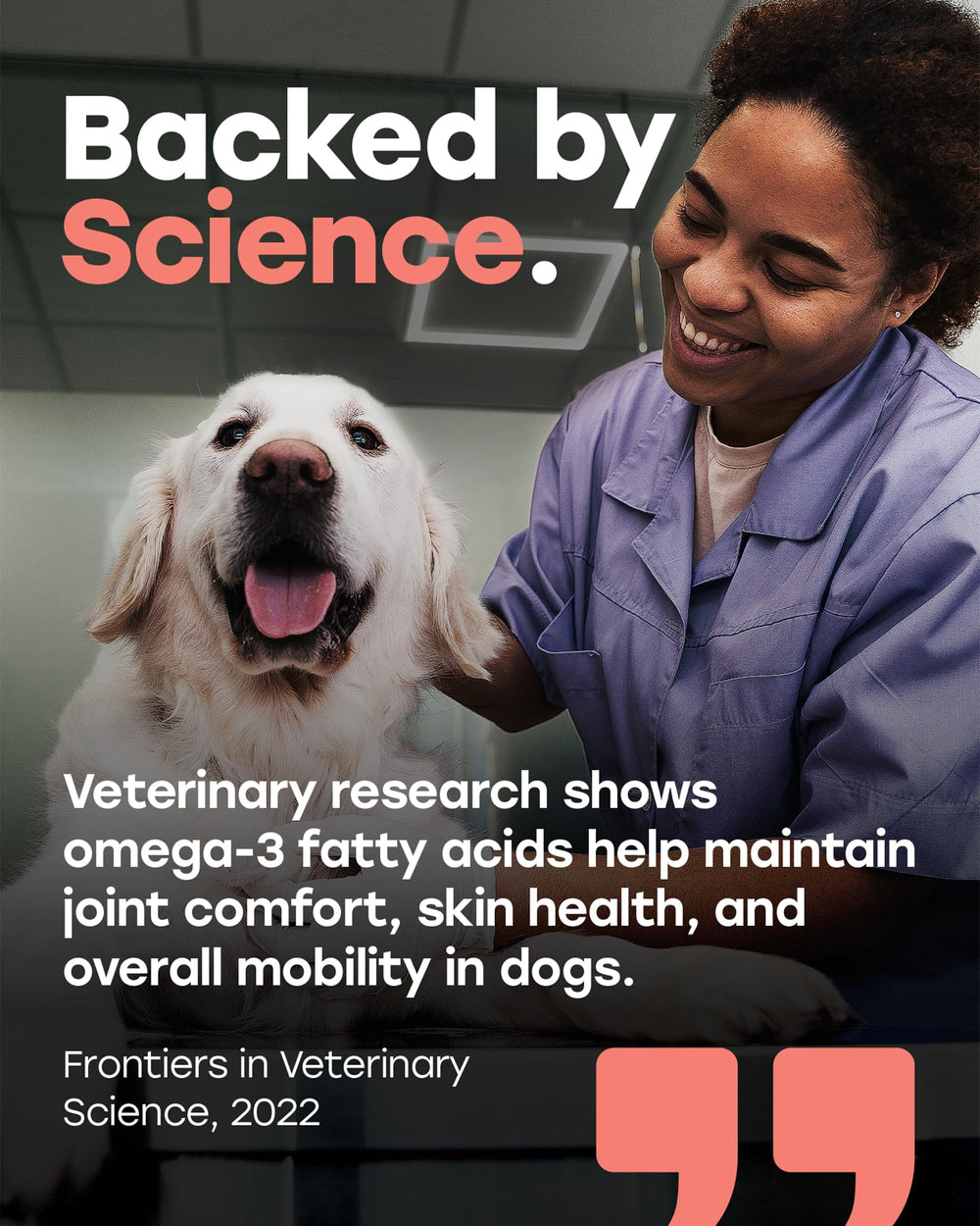 Pup Choice salmon-flavored chews appealing to dogs during daily routine.
