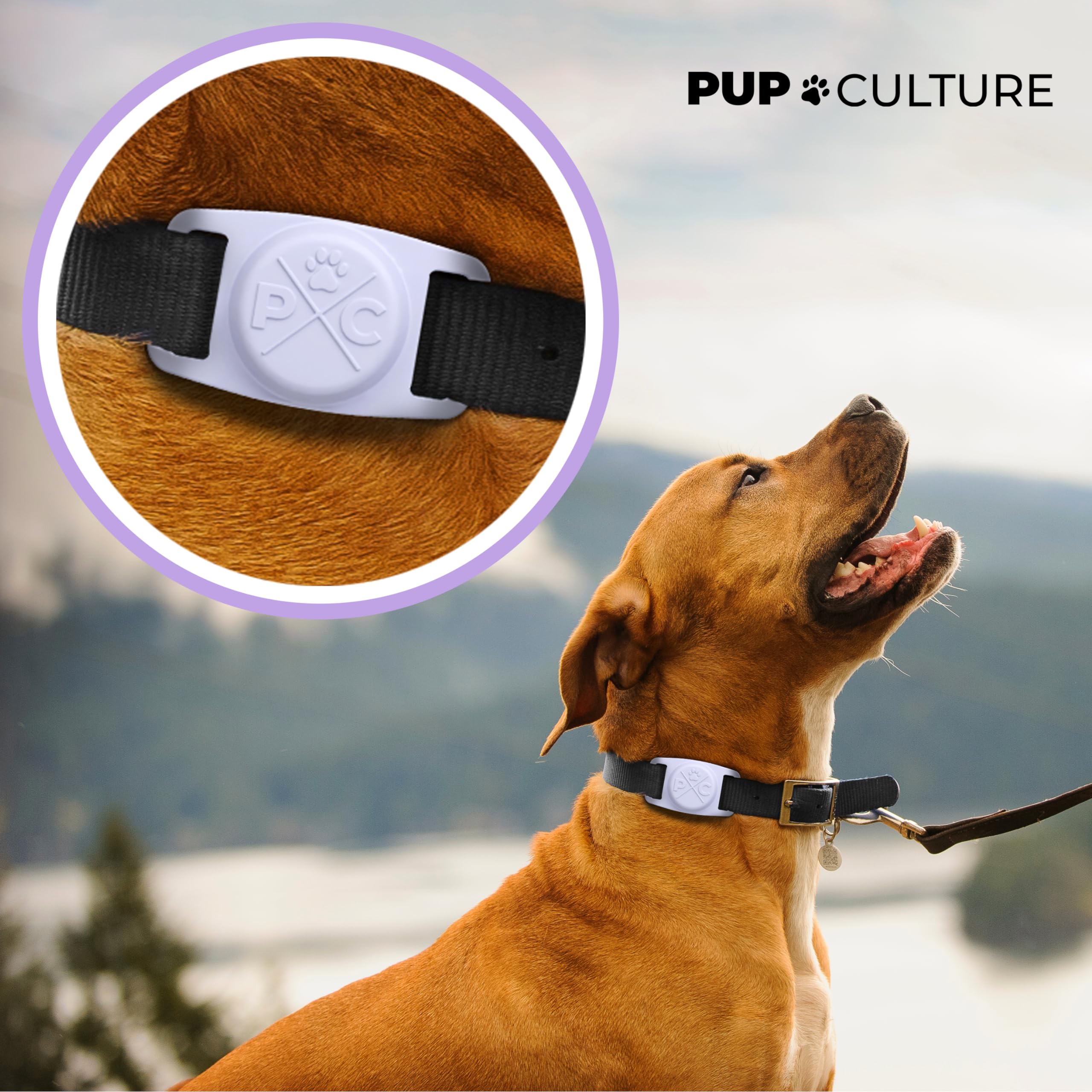 Pup Culture AirTag Dog Collar Holder in durable silicone protects AirTag from rough play.