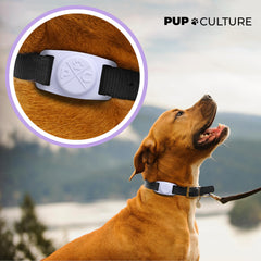 Pup Culture AirTag Dog Collar Holder in durable silicone protects AirTag from rough play.