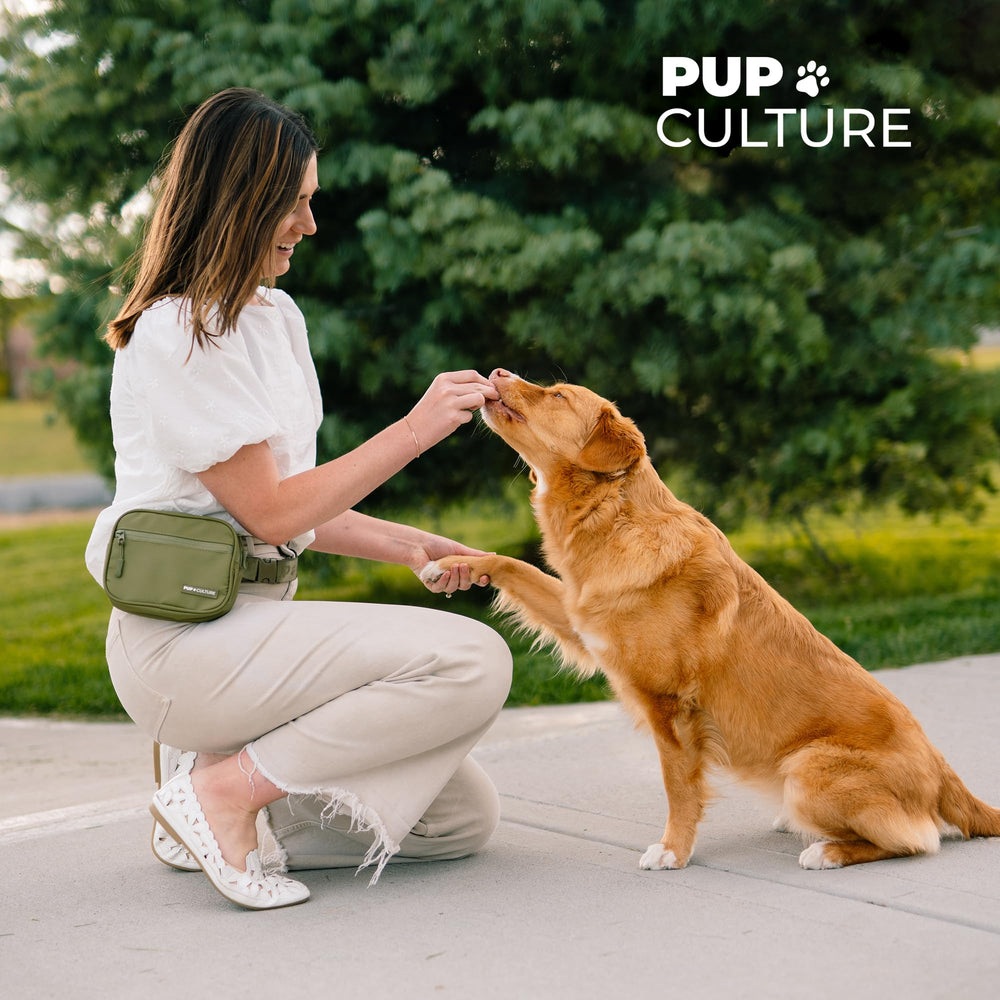 Pup Culture poop bag dispenser keeps pickups discreet and quick