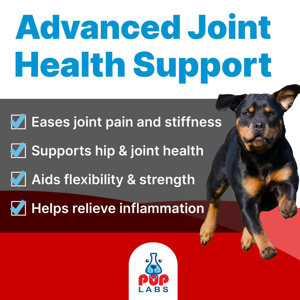 Pup Labs Freedom Joint Chews dog treats on floor promote mobility and daily play.
