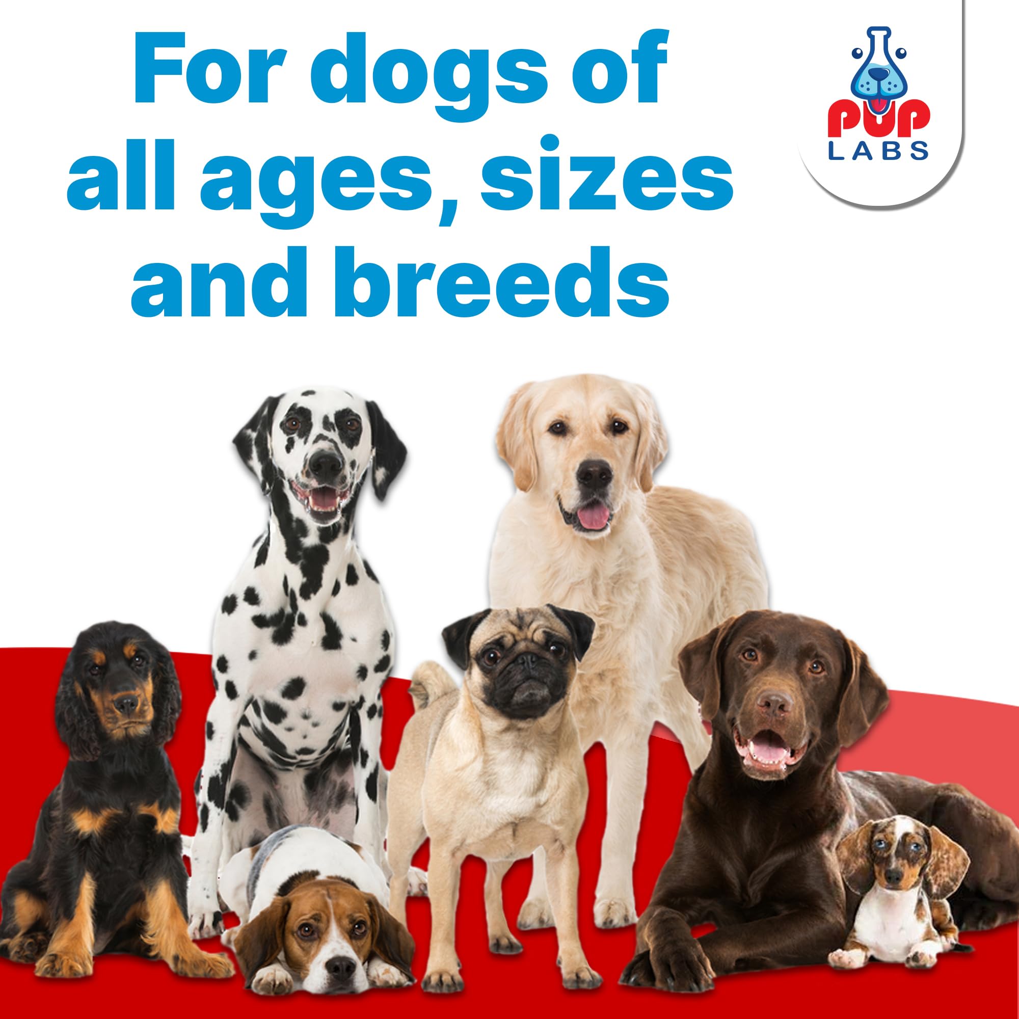 Pup Labs Freedom Joint Chews being measured by hand showcases portion size.