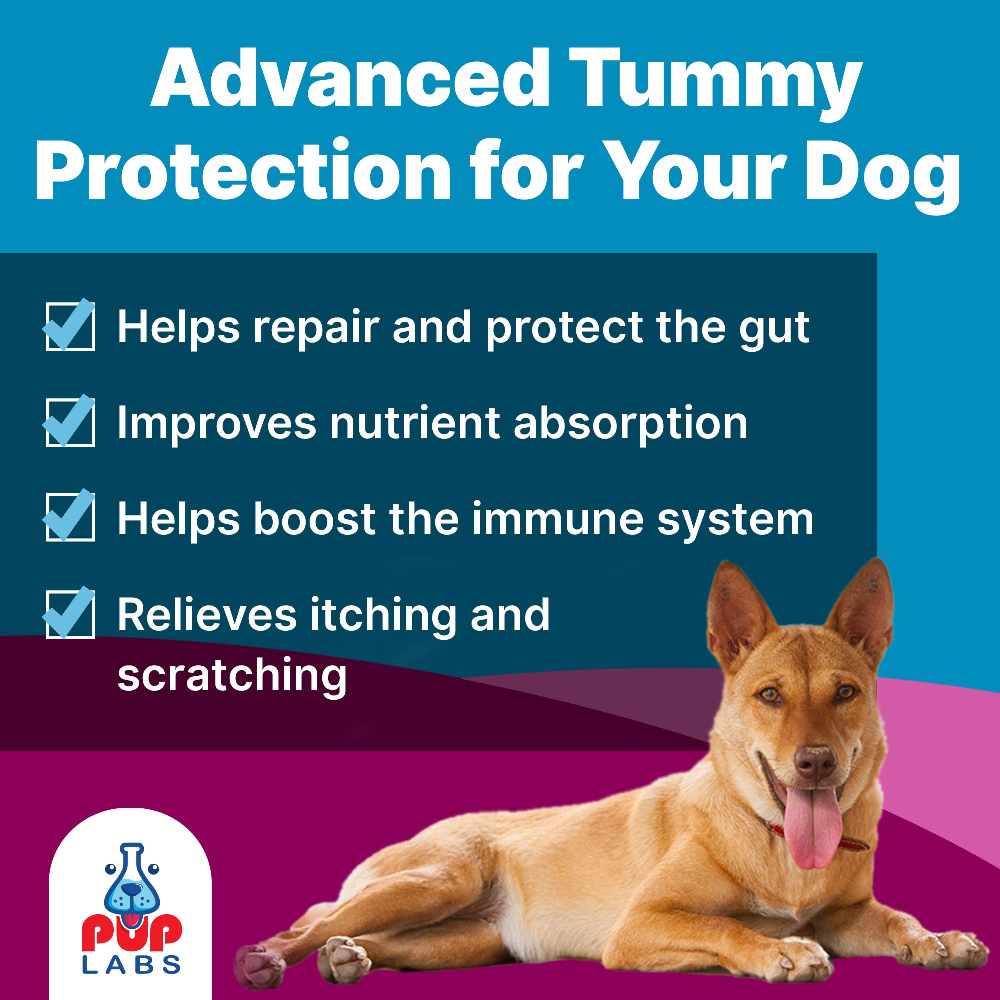 Pup Labs K9 Belly Bliss on wet food demonstrates convenient mixing for digestion