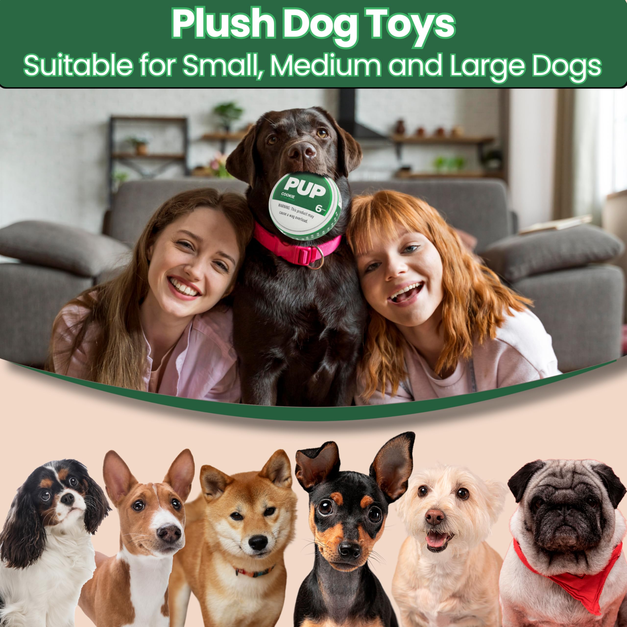 PUP6 Pupper Decky parody dog toy delivers novelty and smiles during play.