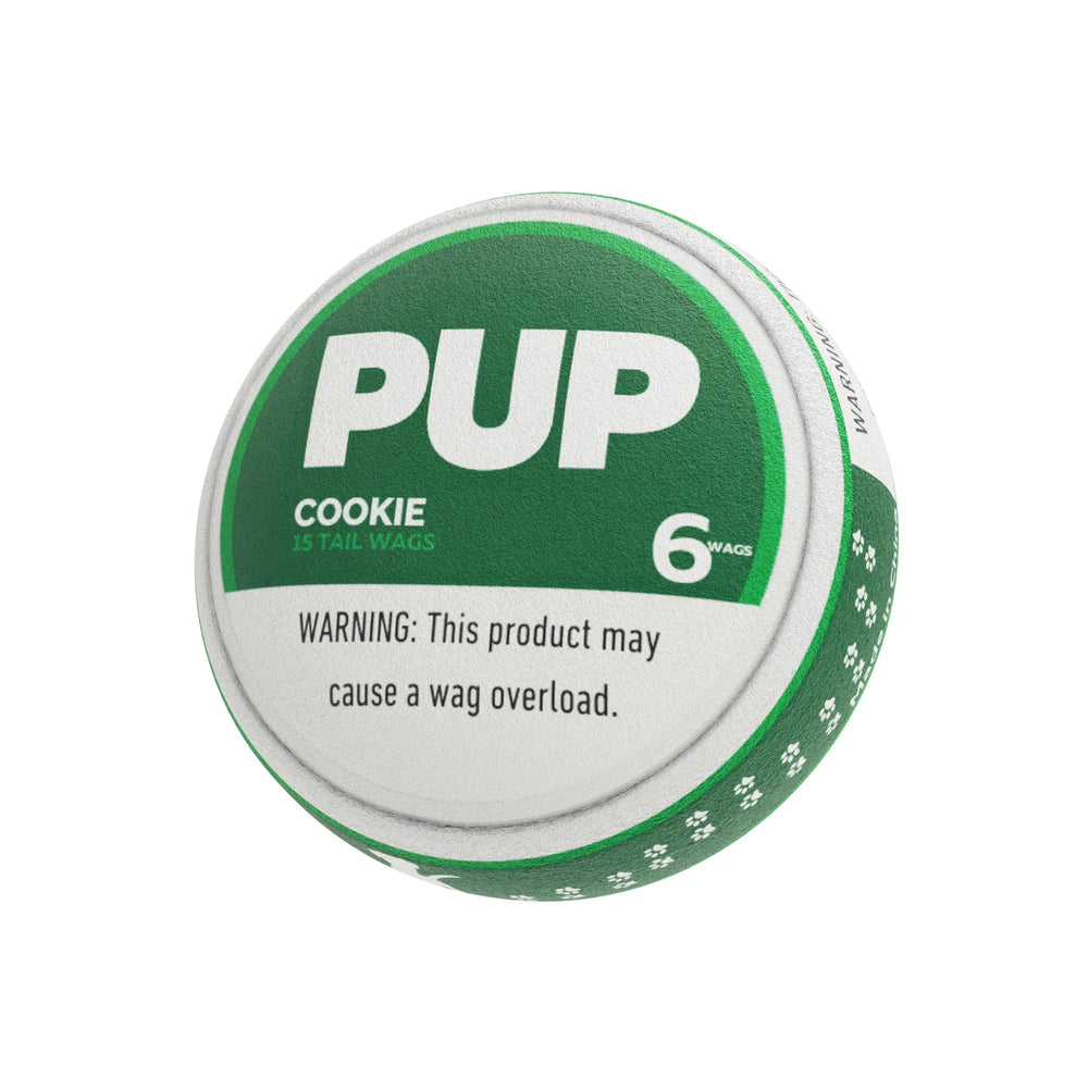 PUP6 Pupper Decky squeaky toy engages dogs with playful sound during playtime.