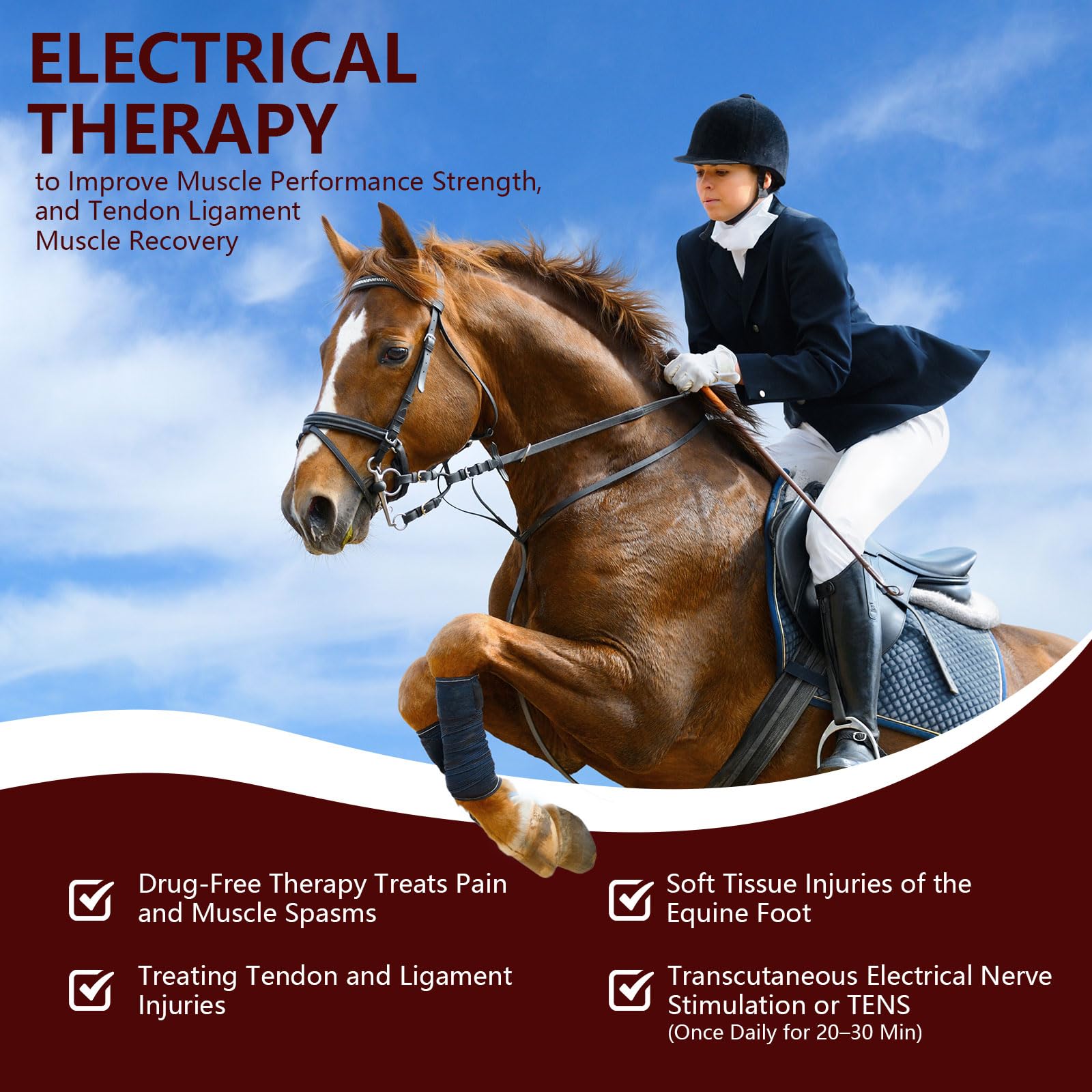 PUPCA portable red-light therapy device handheld for quick equine treatments.