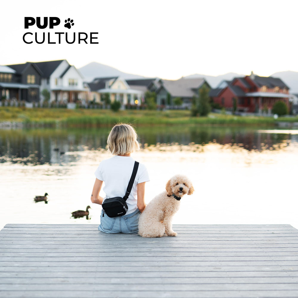 Pup Culture training-tools-in-one-bag highlights all-in-one puppy task solution.