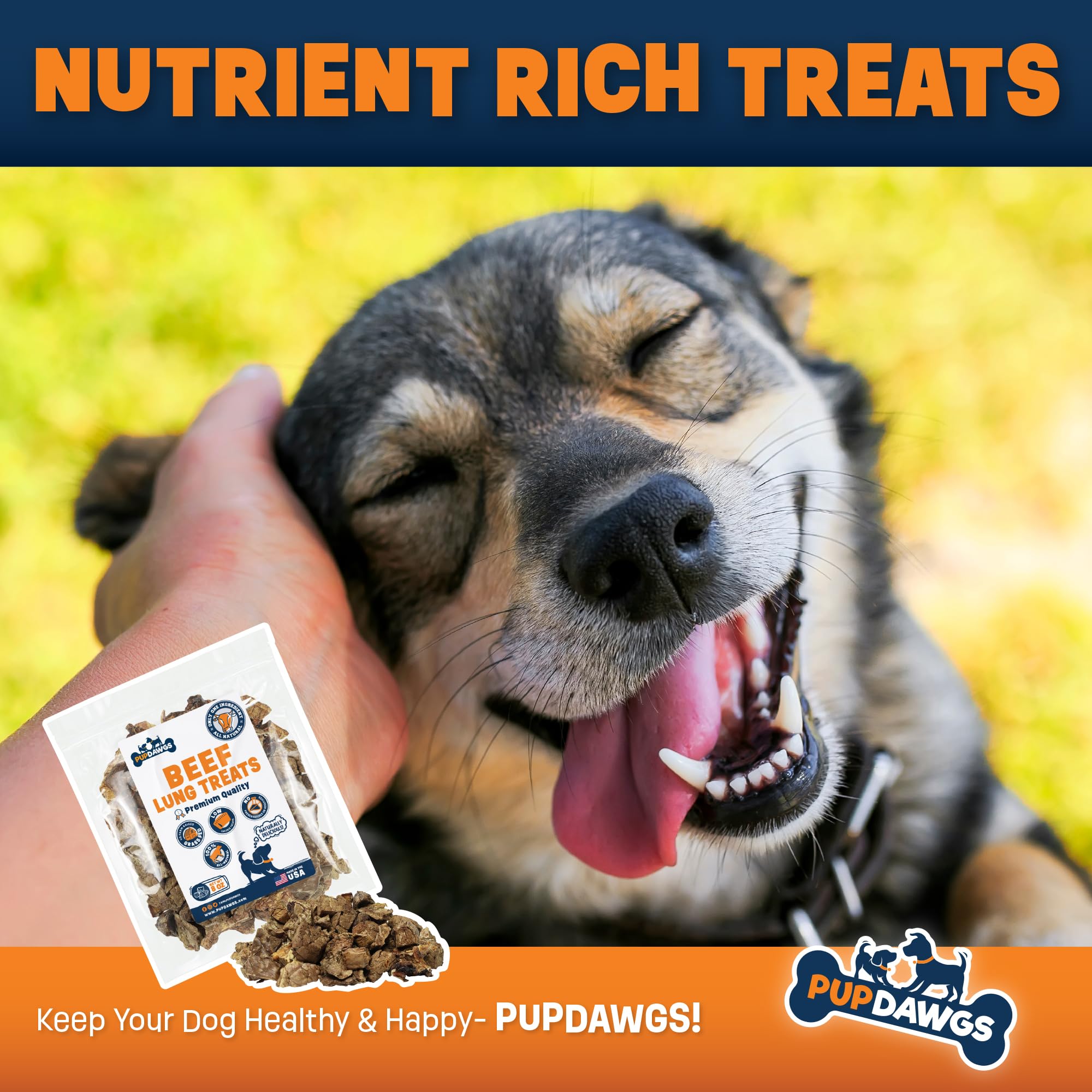 PUPDAWGS dental-chew benefits photo hints at chewing satisfaction