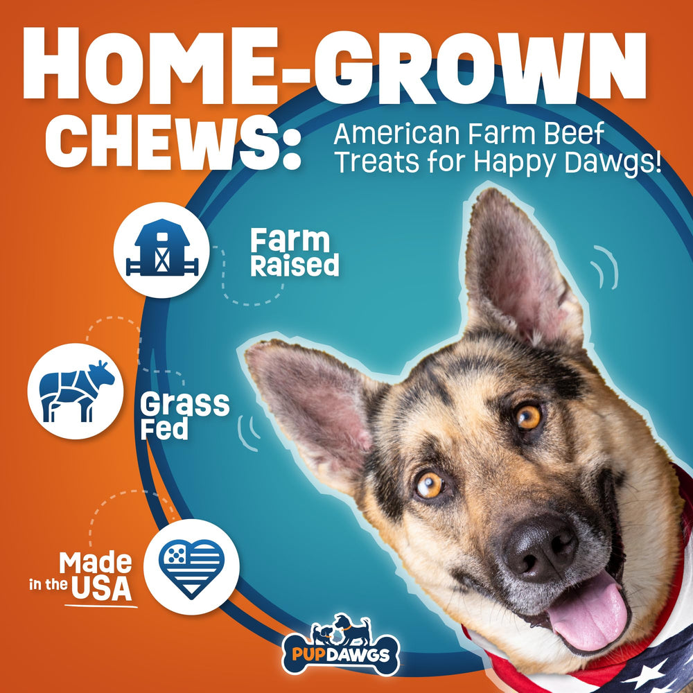 PUPDAWGS training-reward dogs image demonstrates quick reinforcement use