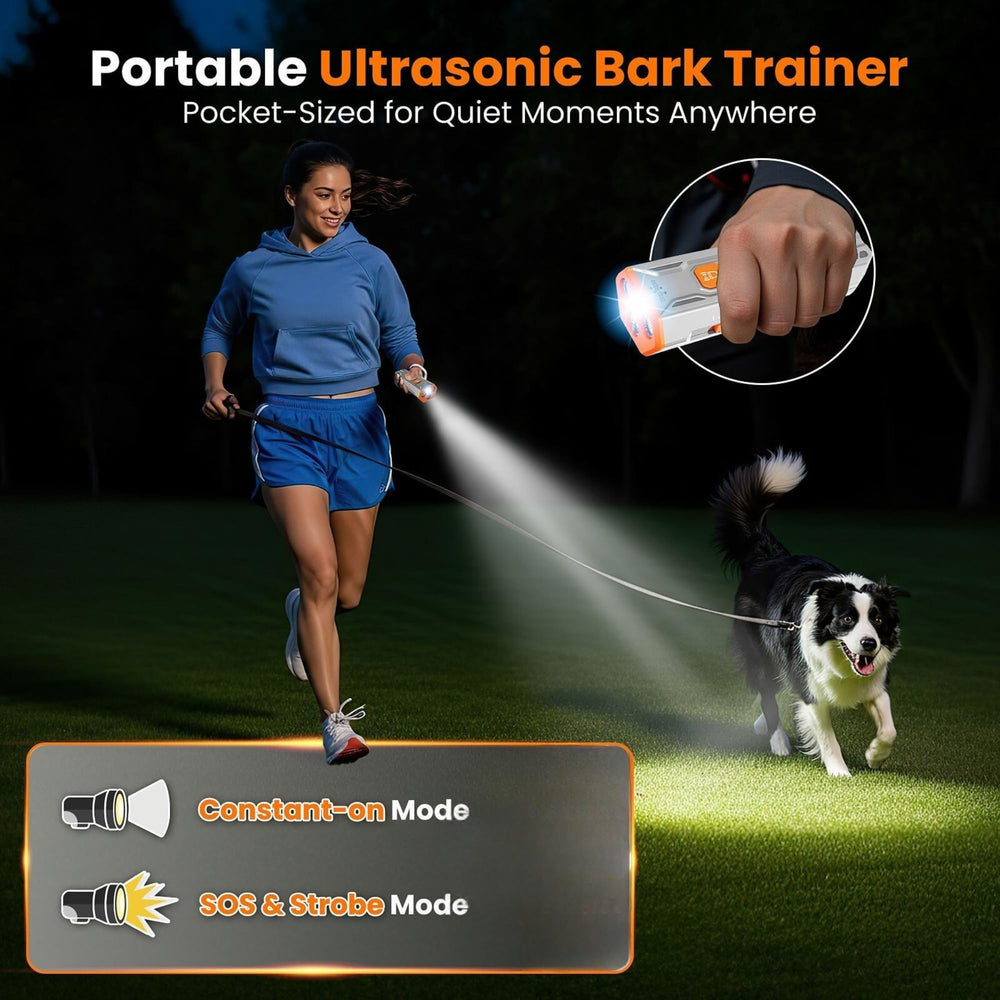 PupDepo indoors scene demonstrating easy handling and barking control