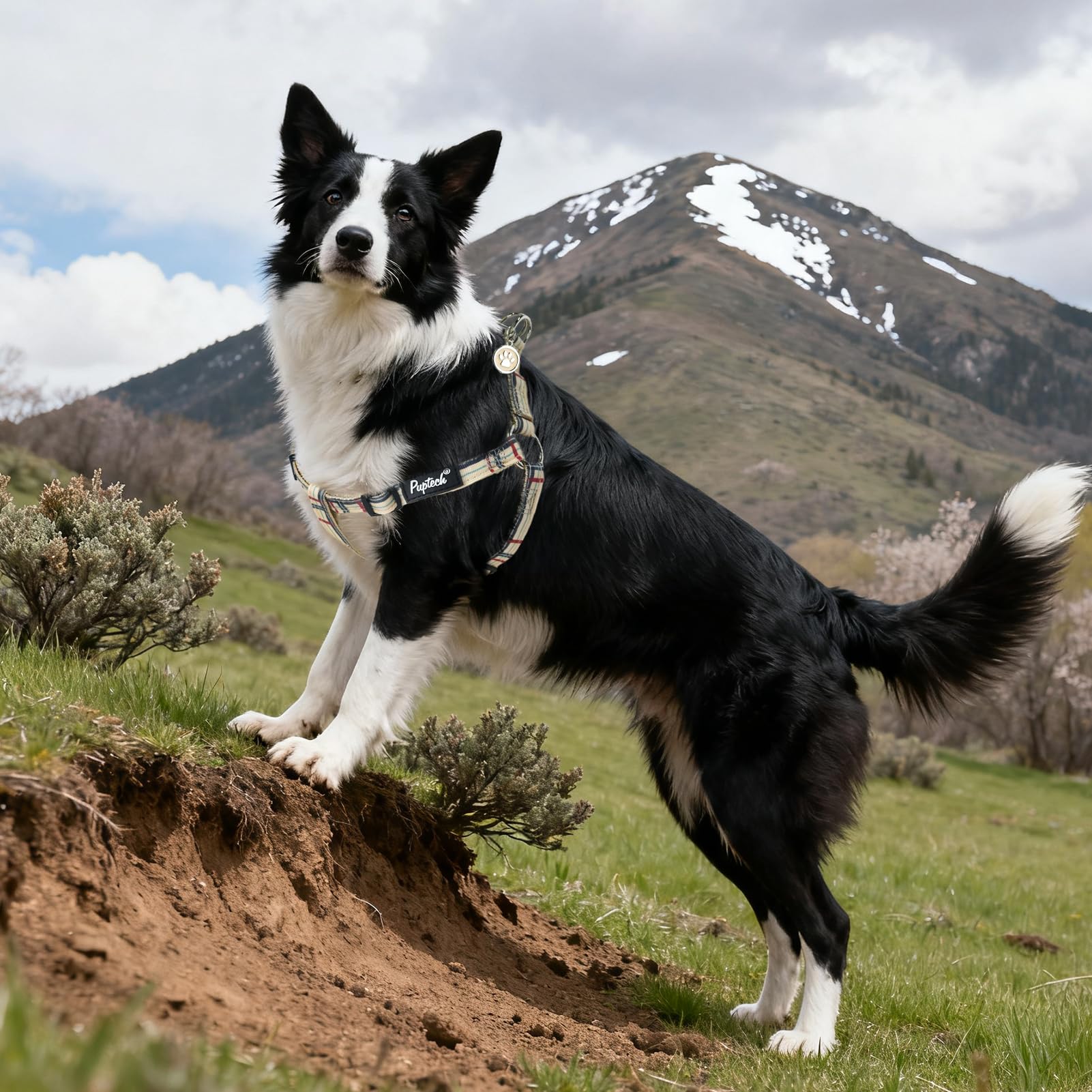 Pupteck size chart and adjustable straps illustrate a comfortable, secure fit.