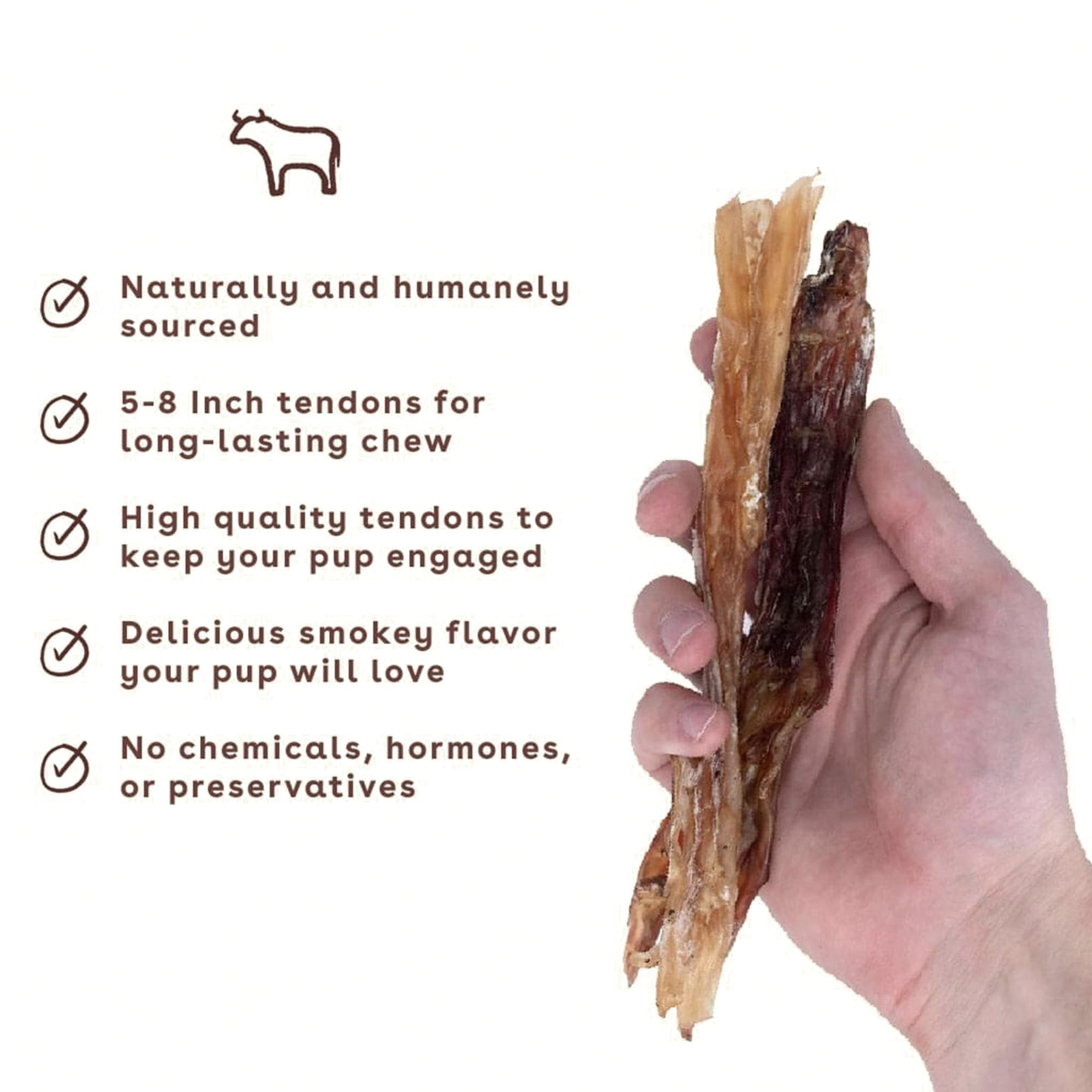 Pupford tendon chew held by paw during teething use with a puppy.