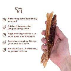 Pupford tendon chew held by paw during teething use with a puppy.