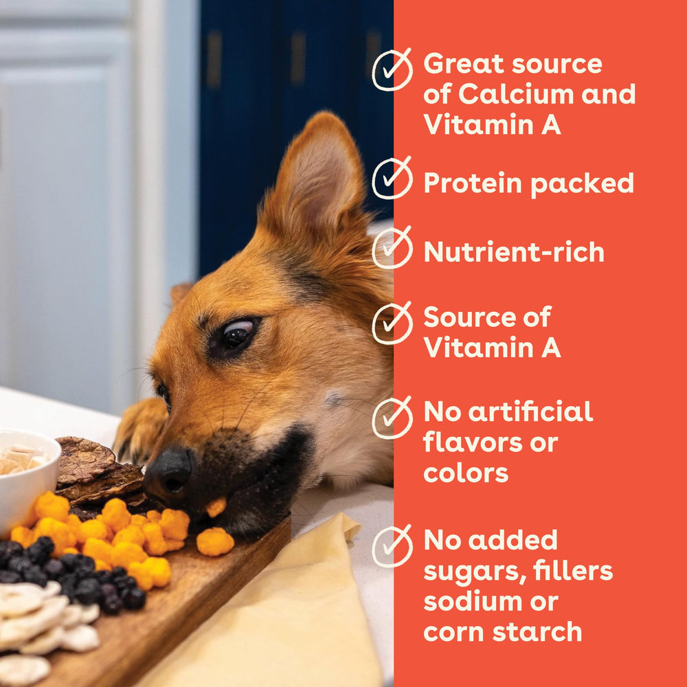 Pupford Cheese Crunchies close-up reveals cheddar texture appealing to dogs.