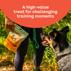 Pupford Cheese Crunchies dog enjoying a cheddar reward during training.