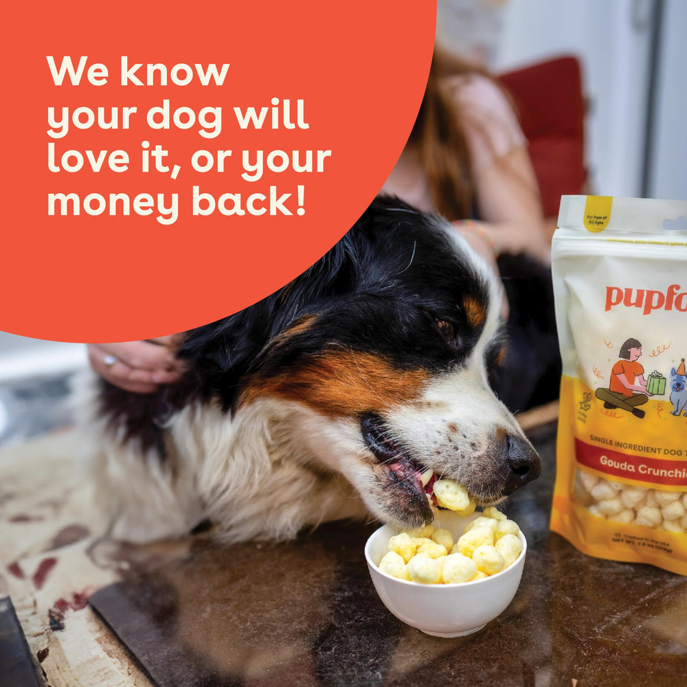 Pupford Cheese Crunchies dog enjoying treat—great training reward.
