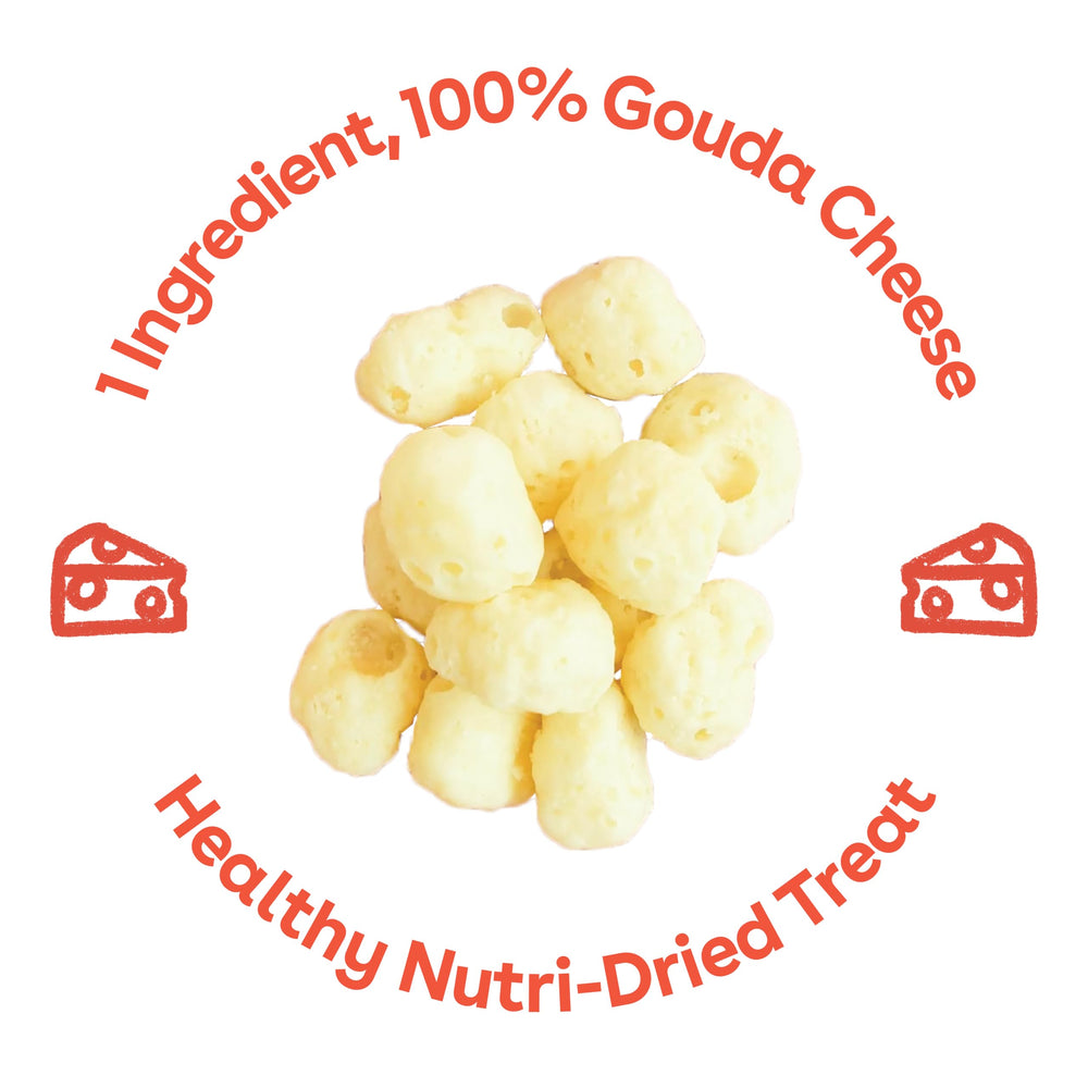 Pupford Cheese Crunchies freeze-dried Gouda close-up—protein-rich snack.