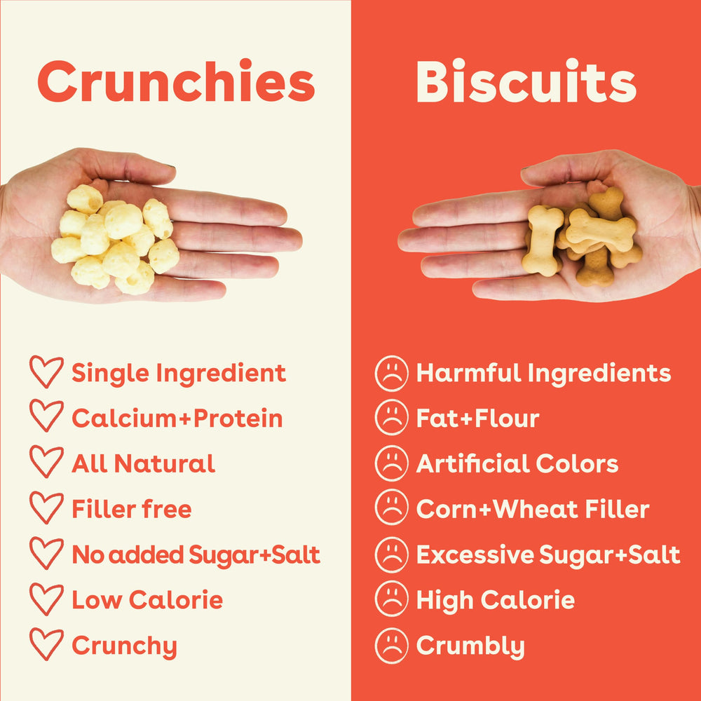 Pupford Cheese Crunchies packaging Gouda label close-up.