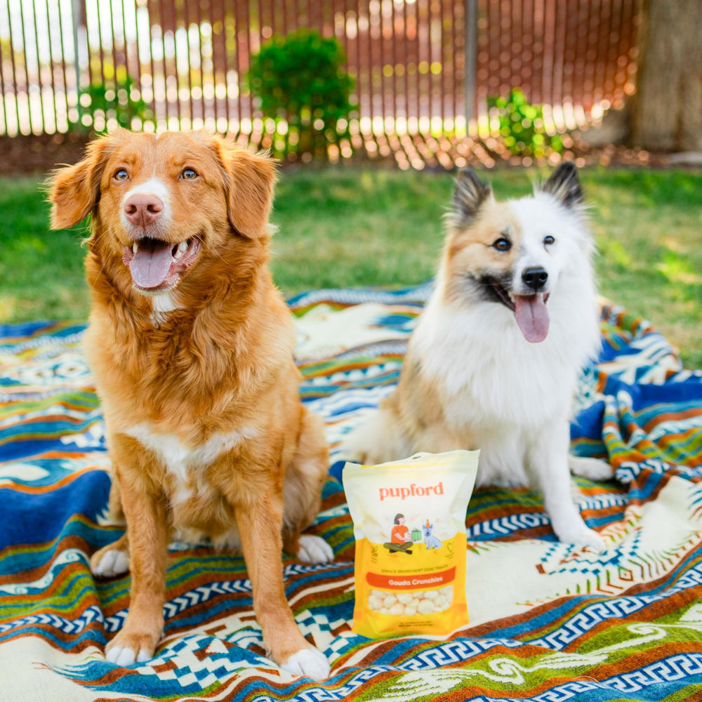Pupford Cheese Crunchies puppy snack in a bowl.