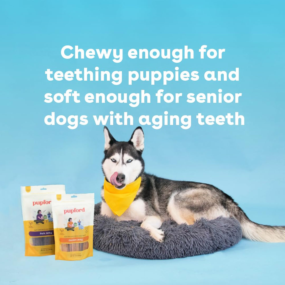 Pupford Chicken Jerky puppy snack moment highlights suitability for puppies