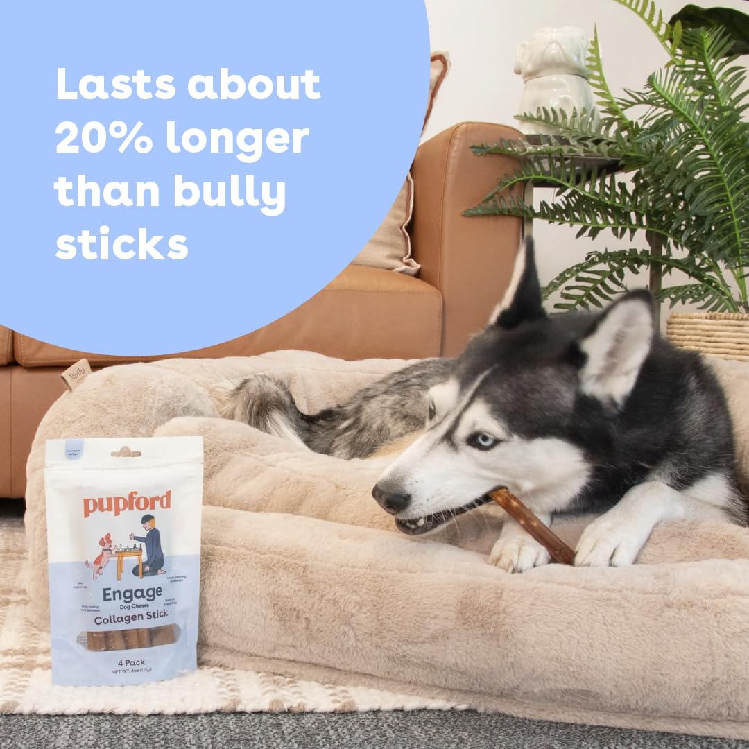 Pupford collagen stick chews offer bully-stick alternative for satisfying chewers.