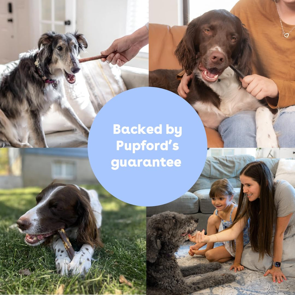 Pupford collagen stick chews color variations reflect natural sourcing and ingredients.
