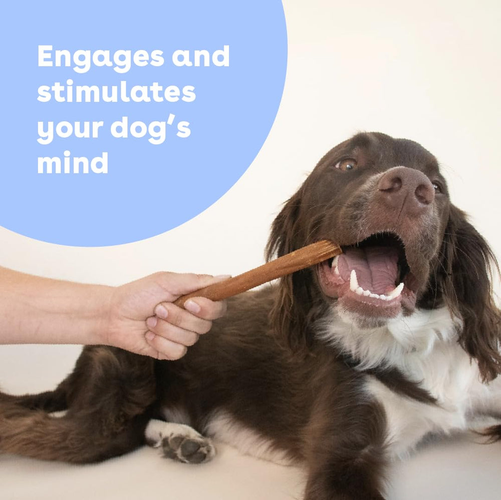 Pupford collagen stick chews texture soft-durable for healthy play.